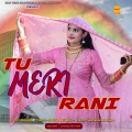 Afsana Khan、Javed Akhtar Alwar - Shadi Ki Kahanee || Chanchal Mewati (feat. Afsana Khan)
