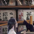 喵酱 - 光·白