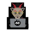 BCR BINZ - FRAUD (Explicit)
