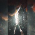 莫倾辰、曲悠、洛芊伊、筱朱朱 - 逍遥无穷