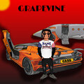 cass - Grapevine