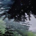 Lucian Moth - Eve