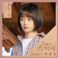 朴载正 - Dream