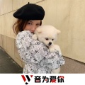 乐匠、虞姬、圈妹、小奶瓶 - 爱笑的眼睛 (DJ版)