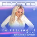 I'm Feeling It (In the Air)(DJ Gollum & DJ Cap Remix)