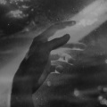A.L.I.S.O.N - M/S