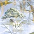 书画Misty、白书窈、途凉Tora、流光Hesh、大魔王、姜鹤年、知顾、时光Alex、烨卿、道长、芊屿、念安 - 请君入梦