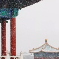 Hattie海婷 - 踏山河