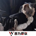 颜66、虞姬、圈妹、小奶瓶 - 口水兴奋