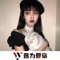 MC沈梦瑶、虞姬、圈妹、DJ YiXiu - 高端大气电鼓上档次 (DJ版)