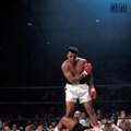 Prod - KNOCKOUT! (Explicit)