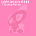 Sleeping Panda - Airplane
