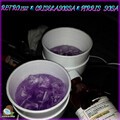 Pirris Sosa、Retro 1312、Criselasossa - Sad Boys