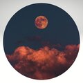 nathan barato - WERK THIS___ THE NIGHT
