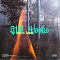 Roxo - Still Woods (Explicit)