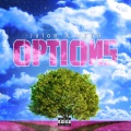 Jalon、Verb - Options (Explicit)