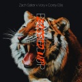Corey Ellis、Zach Salter、Tavoris Hollins Jr.、Vory - Bossed Up