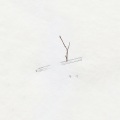 정지영、이연호 - 다시
