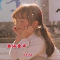 EDM - 我像一个傻瓜