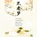琅月Ruri - 不老梦