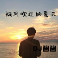 DJ酱酱 - Phut hon