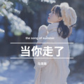 马浩瀚 - 当你走了