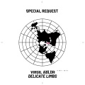 Delicate Limbs (Special Request Remix|Extended Mix)