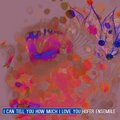 Hofer Ensemble - I Can Tell you How Much I Love You
