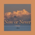 卡捏Catnipp - Now or Never