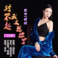 对不起我又想你了(DJ版)