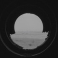 NUZ - 나무