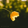 Floret
