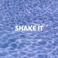 Shake it (freestyle)(Explicit)