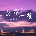 情深一往