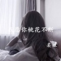 柔姐 - 我愿你桃花不断