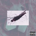 swimlow - CODEINE POURING WEATHER (Explicit)