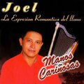 Joel Ibica - Discúlpame