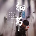 MC太阳 - 细节