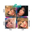 Poison - Talk Dirty To Me