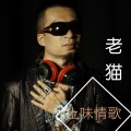 老猫 - 土味情歌