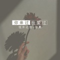 你来过我爱过