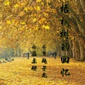 百越子龙、温柔妍 - 梧桐树的回忆