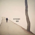 谭雯 - 你是我最愚蠢的一次浪漫