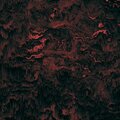 shaemeer - Heartbeat