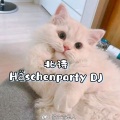 Häschenparty (Single Version)(Remix)