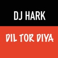 DJ HARK、883、Akhil - DIL TOR DIYA