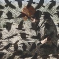 Uhnami - the birds (Explicit)