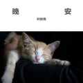 叶林隽 - GOOD NIGHT