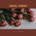 dullrainbow - Hadal Ahbek TikTok