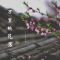 Dj沈亦辰 - 万里桃花落